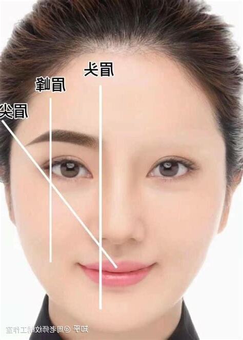 眉 型
